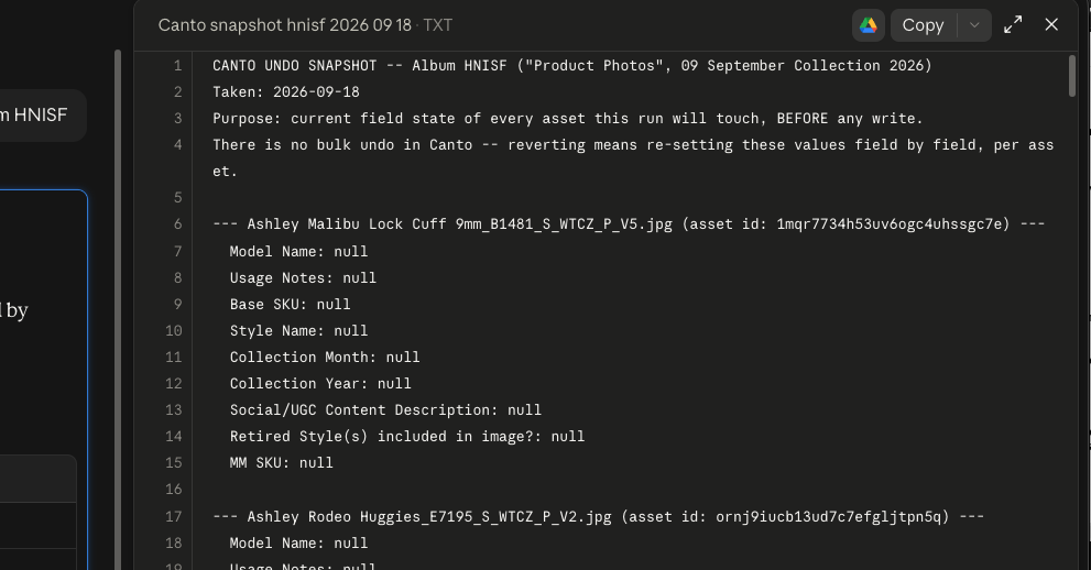 A plain text undo snapshot file listing every photo and the value of each field before any change was made.